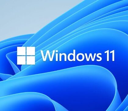 win 11 licenca